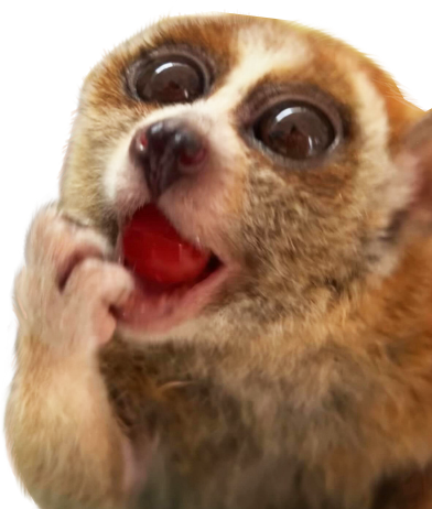 lemur